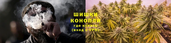 сатива Медвежьегорск