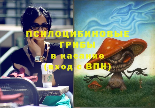 стаф Алексеевка
