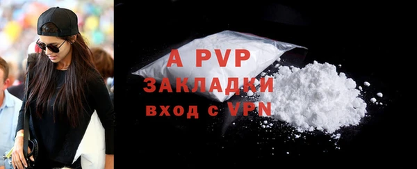 apvp Алзамай