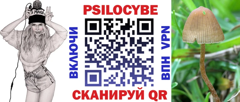 где купить наркоту  MEGA ссылка  Псилоцибиновые грибы Cubensis  Шуя 
